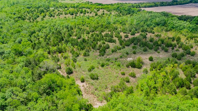 TBD County Rd 4806, Commerce, TX 75428