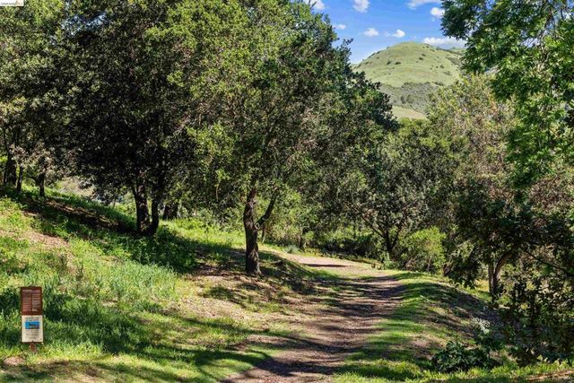 205 Lake Dr, Kensington, CA 94708