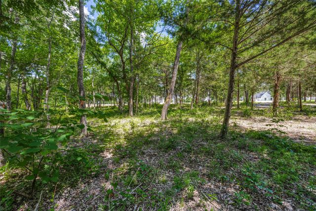 507 Charlie Joseph Drive, Van Alstyne, TX 75495