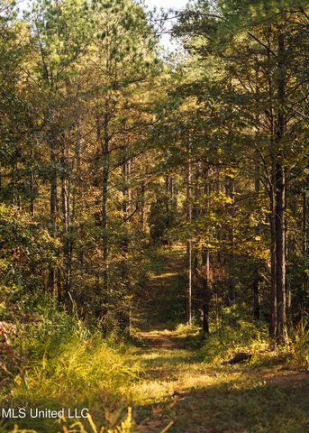 Ms- 4, Holly Springs, MS 38635