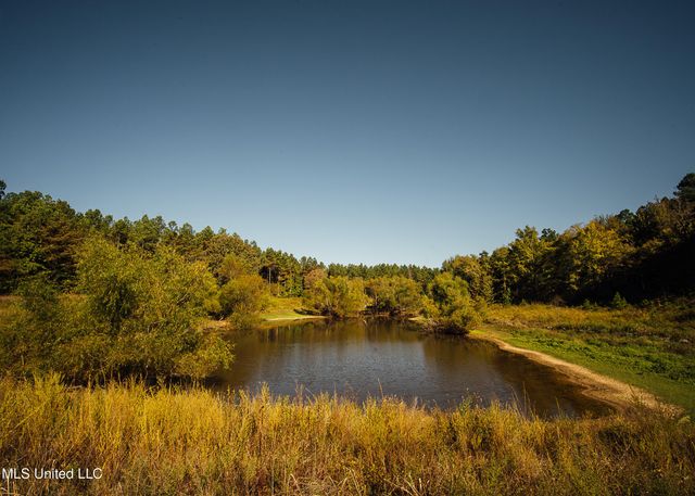 Ms- 4, Holly Springs, MS 38635