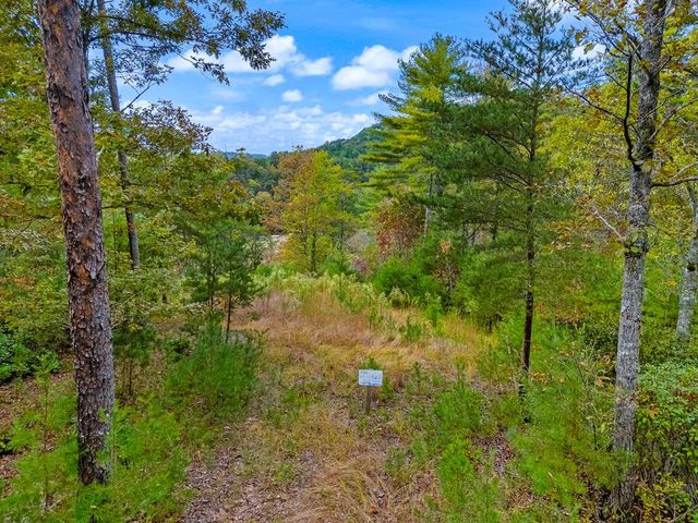 00 Mountain Watch Lane, Murphy, NC 28906