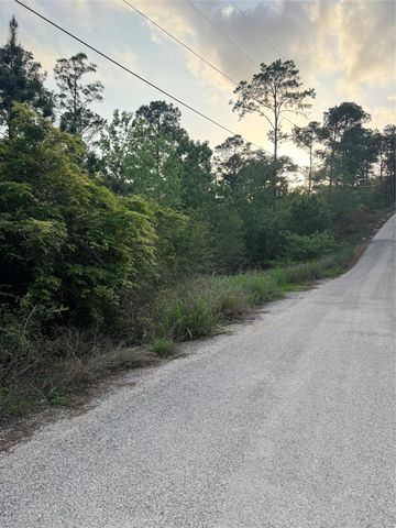 Lot 1386 N Pahihi DR, Bastrop, TX 78602