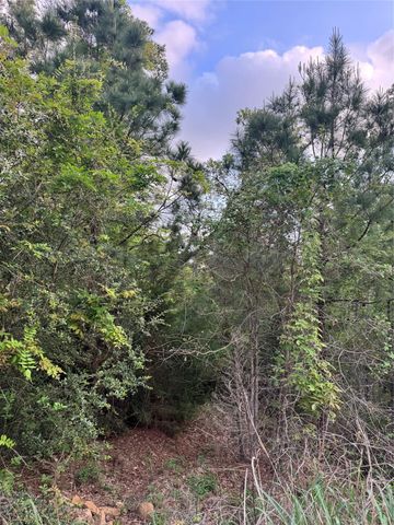 Lot 1386 N Pahihi DR, Bastrop, TX 78602