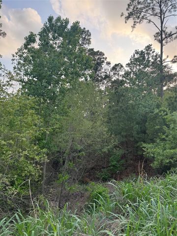 Lot 1386 N Pahihi DR, Bastrop, TX 78602