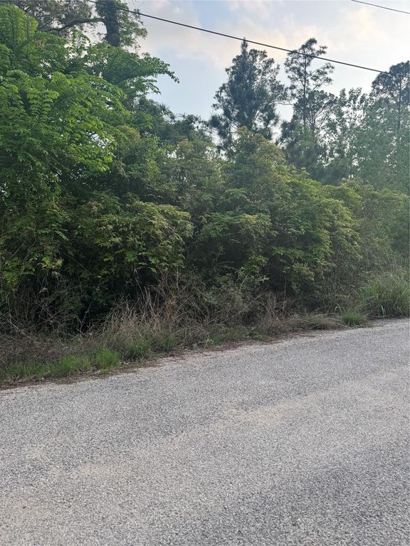 Lot 1386 N Pahihi DR, Bastrop, TX 78602