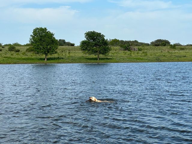 7800 County Road 210, Bertram, TX 78605