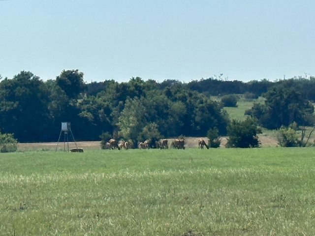 7800 County Road 210, Bertram, TX 78605