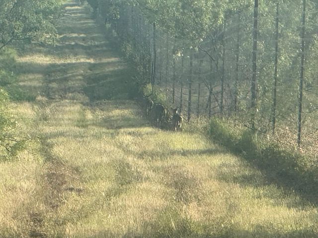 7800 County Road 210, Bertram, TX 78605