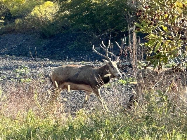 7800 County Road 210, Bertram, TX 78605