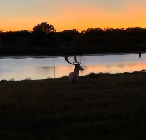 7800 County Road 210, Bertram, TX 78605