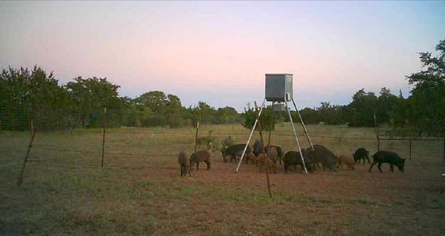 7800 County Road 210, Bertram, TX 78605