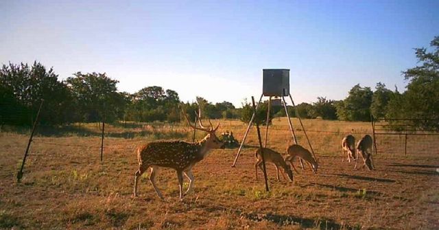 7800 County Road 210, Bertram, TX 78605