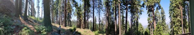 54677 Alder Drive, Sequoia Crest, CA 93265