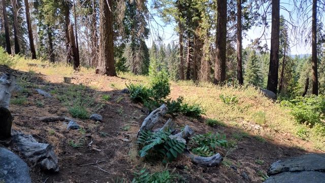54677 Alder Drive, Sequoia Crest, CA 93265