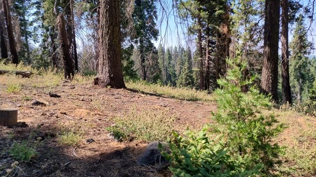 54677 Alder Drive, Sequoia Crest, CA 93265
