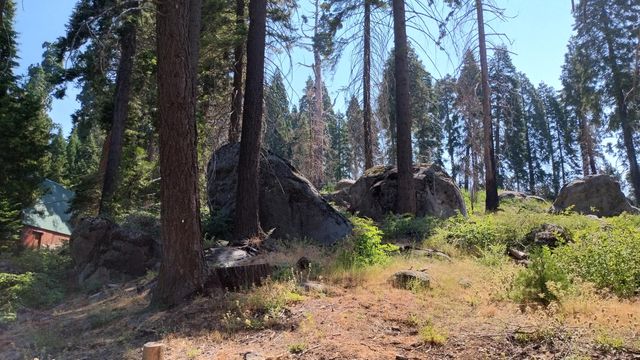 54677 Alder Drive, Sequoia Crest, CA 93265
