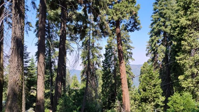 54677 Alder Drive, Sequoia Crest, CA 93265