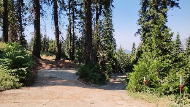 54677 Alder Drive, Sequoia Crest, CA 93265