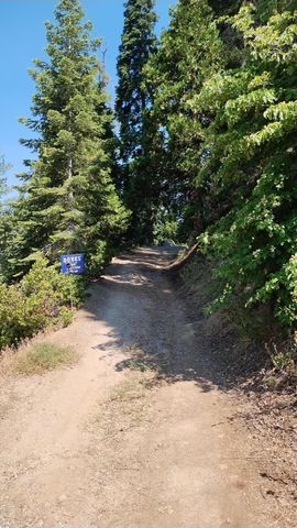 54677 Alder Drive, Sequoia Crest, CA 93265