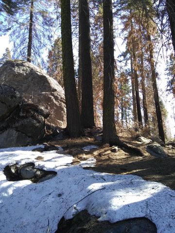 54677 Alder Drive, Sequoia Crest, CA 93265