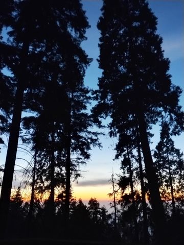 54677 Alder Drive, Sequoia Crest, CA 93265