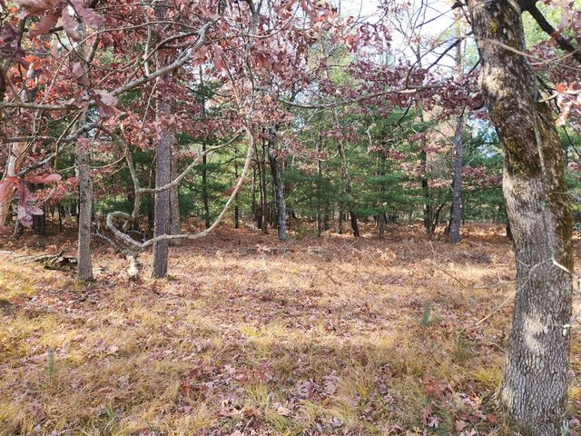 9279 S Forman Road, Baldwin, MI 49304