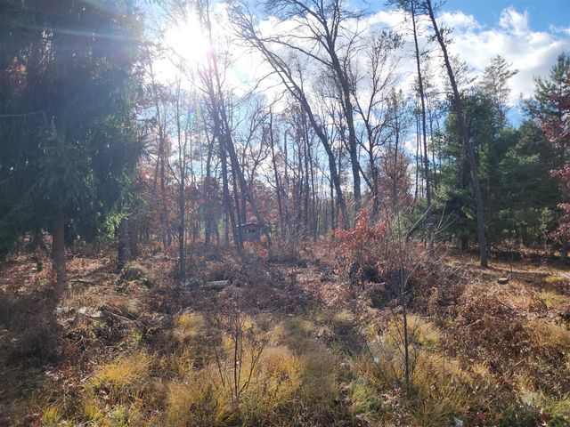 9279 S Forman Road, Baldwin, MI 49304