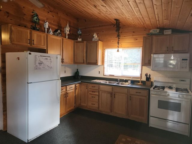 9279 S Forman Road, Baldwin, MI 49304