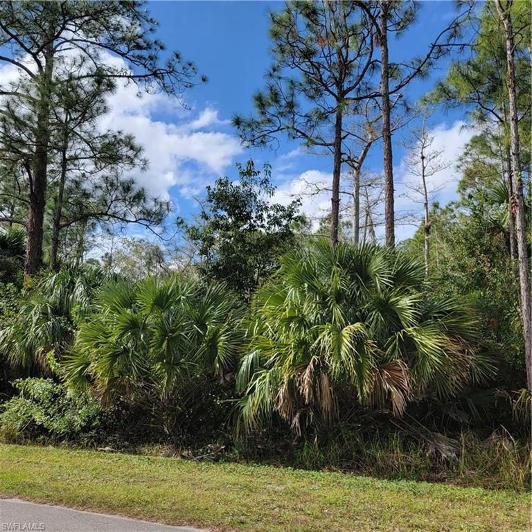 2nd St NE, NAPLES, FL 34120 — photo 4