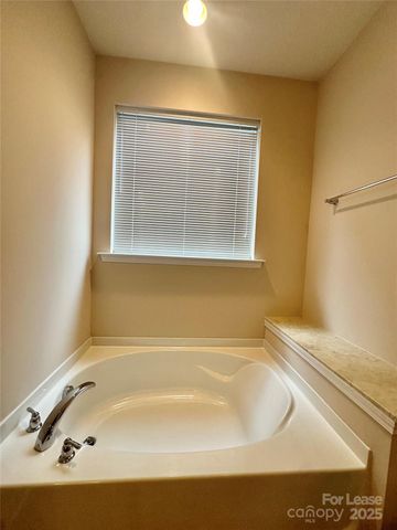 4531 Hubbard Falls Drive, Charlotte, NC 28269