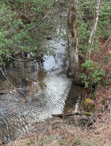 2000 Street Place Loop, Monterey, TN 38574