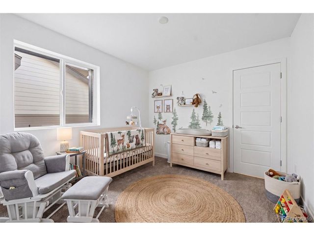 17169 E 103rd Pl, Commerce City, CO 80022