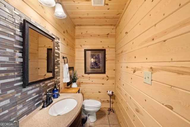 1359 Mountain High Drive, Mineral Bluff, GA 30559