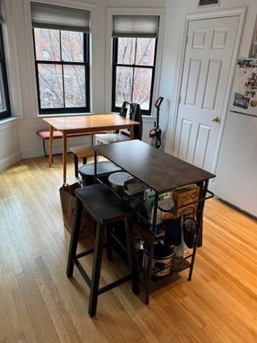 575 Tremont Street 101, Boston, MA 02118