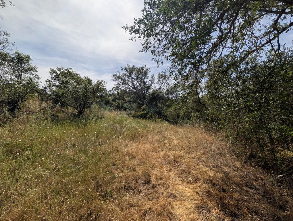 Image 3 of property listing at 660 Willowood Lane, Yokuts Valley, CA 93675