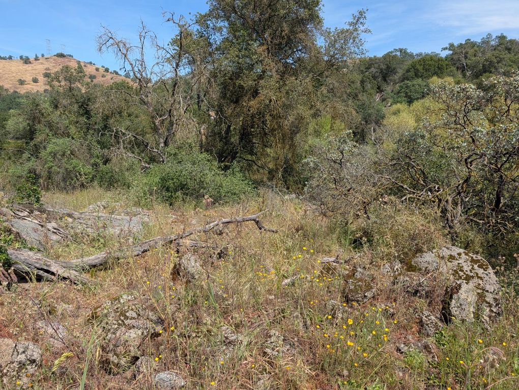 Image 7 of property listing at 660 Willowood Lane, Yokuts Valley, CA 93675