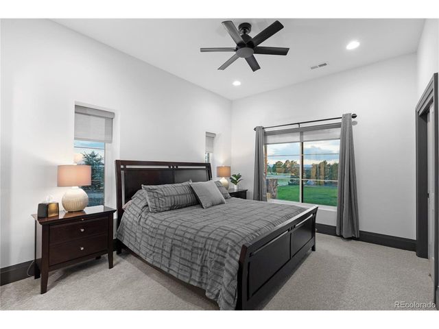 10689 Shadow Pines Rd, Parker, CO 80138