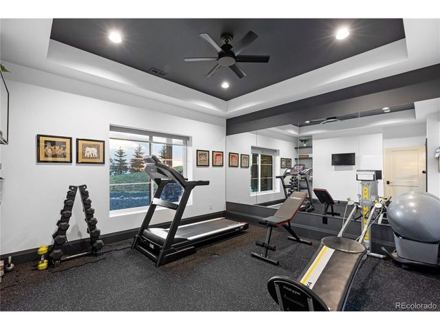 10689 Shadow Pines Rd, Parker, CO 80138