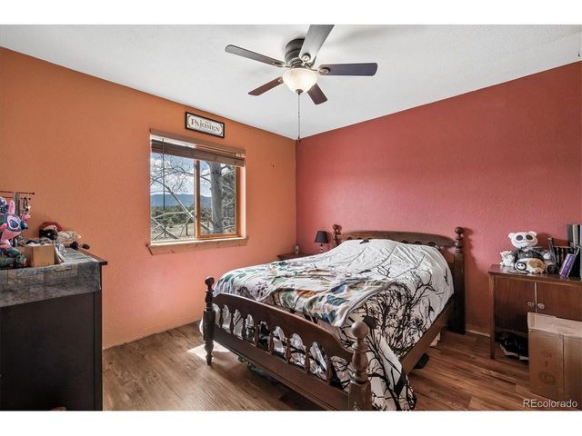 175 Blackbird Dr, Bailey, CO 80421