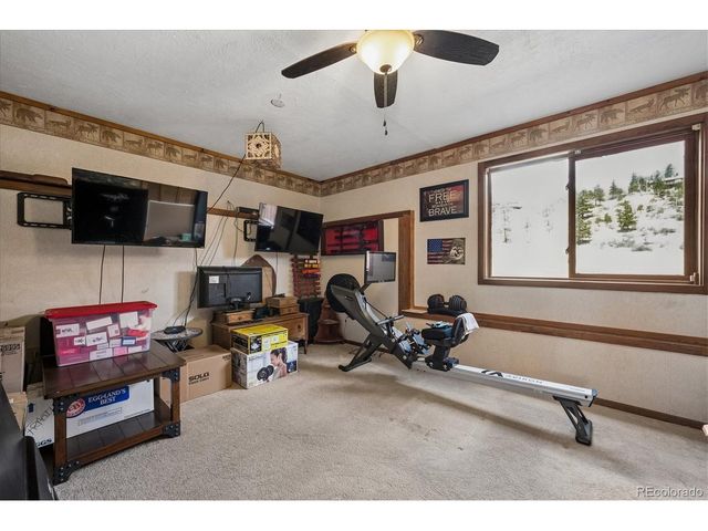 175 Blackbird Dr, Bailey, CO 80421