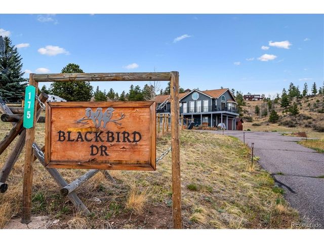 175 Blackbird Dr, Bailey, CO 80421