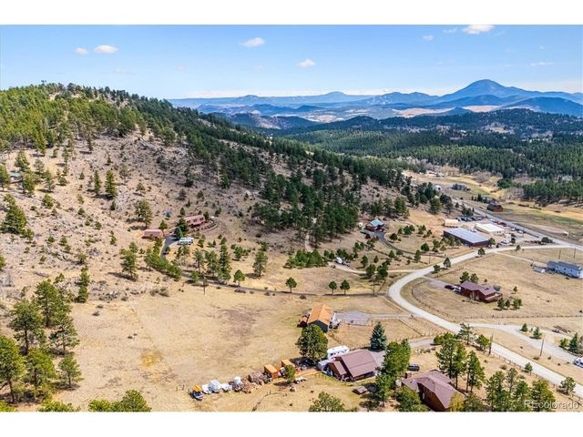 175 Blackbird Dr, Bailey, CO 80421