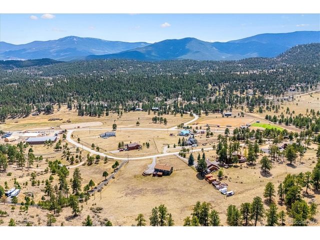 175 Blackbird Dr, Bailey, CO 80421