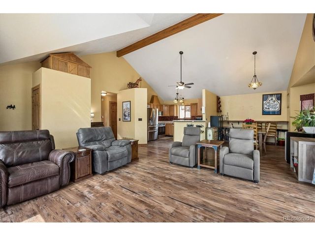 175 Blackbird Dr, Bailey, CO 80421