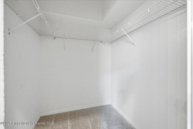 4516 Golf Club Lane, Spring Hill, FL 34609