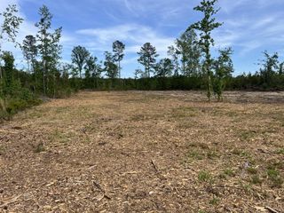 71 Herndon Street Tract B-6, Walterboro, SC 29488