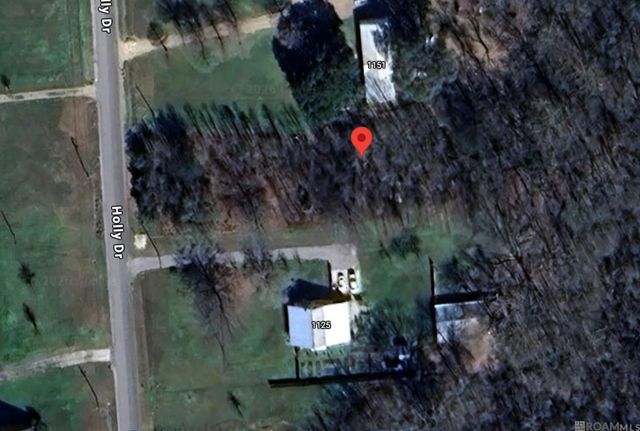 1139 Holly Dr, Slaughter, LA 70777