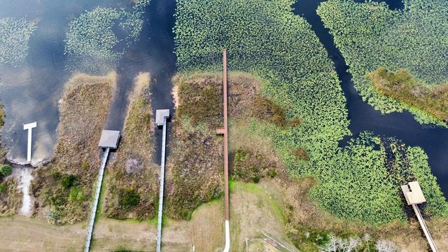 4620 GLIDING WAVE ST, Winter Garden, FL 34787