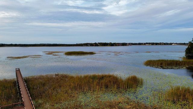 4620 GLIDING WAVE ST, Winter Garden, FL 34787